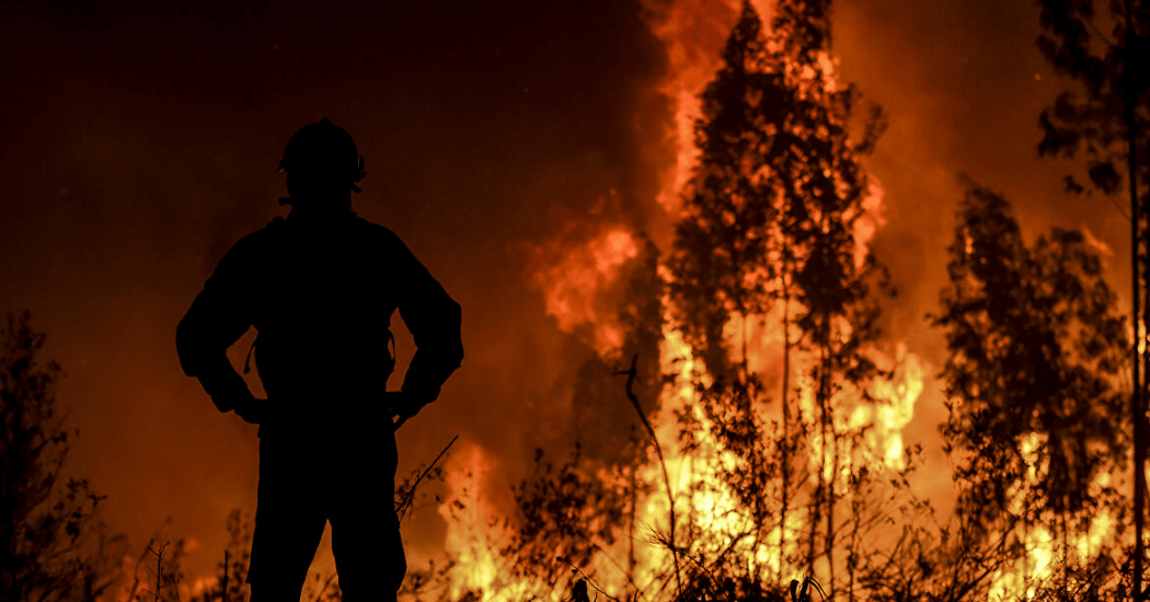 Incêndios Florestais. Pedido de socorro pela prevenção !