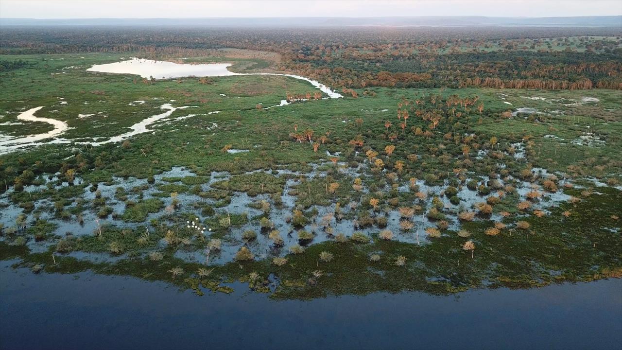 Com novas medidas, governo avança para implantar o Parque Estadual do Pantanal do Rio Negro