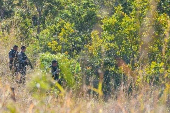 Internauta diz que em MT Bope matou 6 enquanto policiais de Goiás caçam pequi na mata