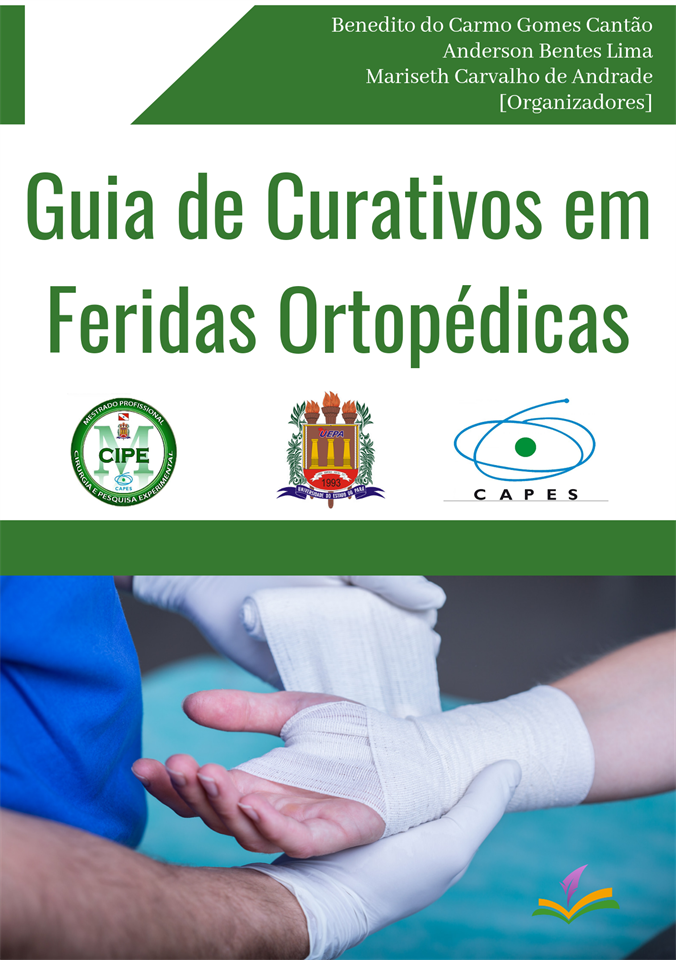 Guia de Curativos em feridas Ortopédicas