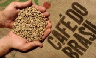 Brasil exporta 40,4 milhões de sacas de café em 2021, com receita de US$ 6,2 bilhões