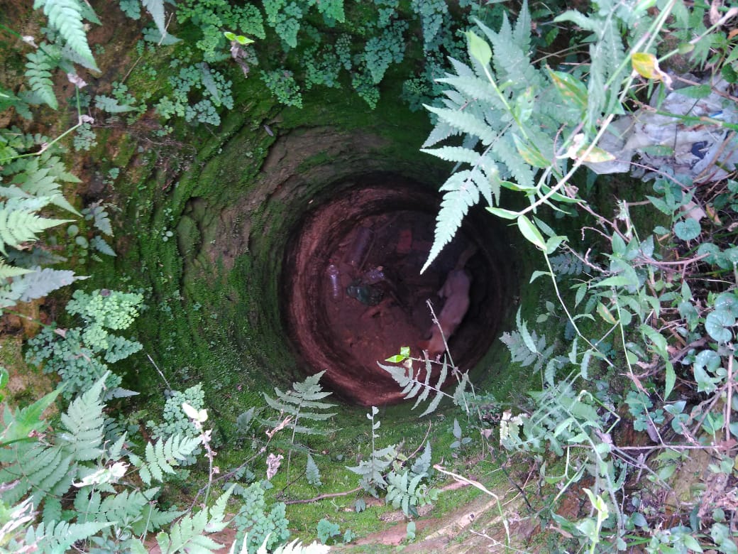 Animal preso em poço é salvo na Vila Ivete