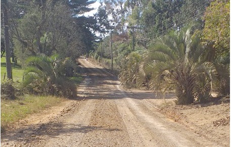 Prefeitura de Mafra realiza melhorias constantes das estradas do interior