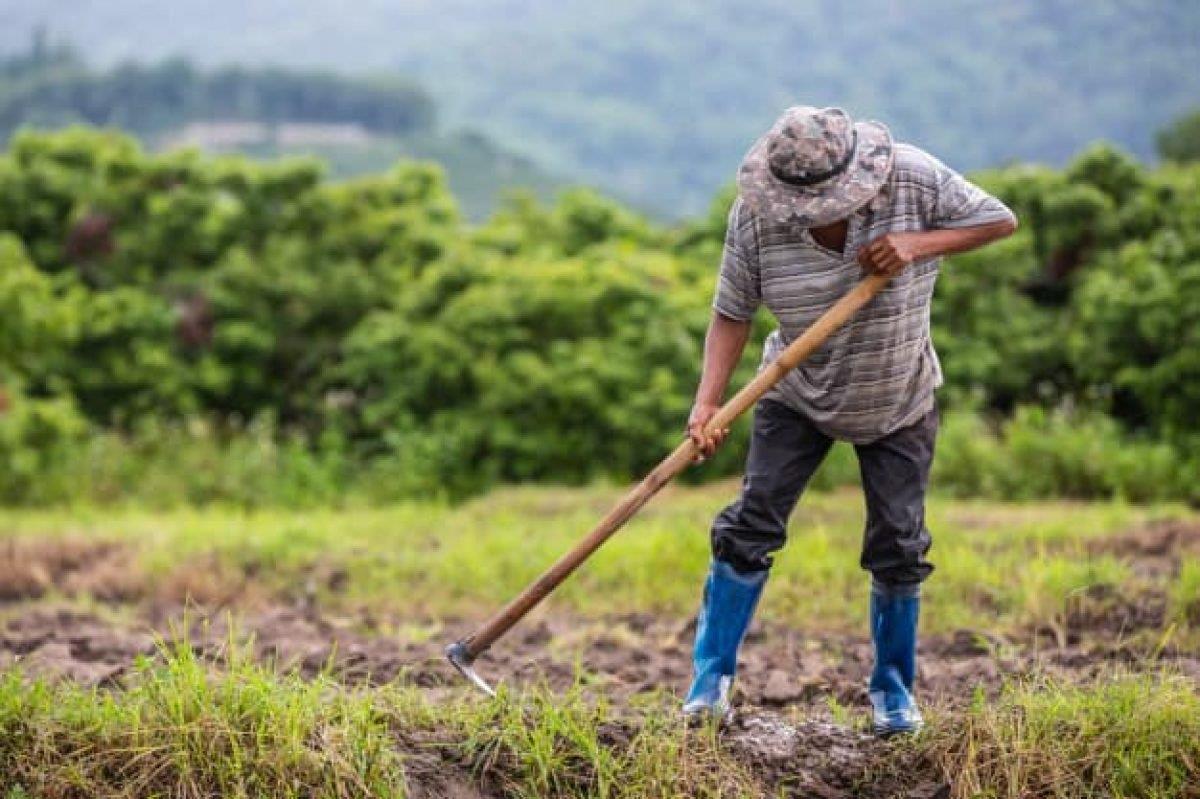 Coleta de embalagens de agroquímicos nas comunidades rurais