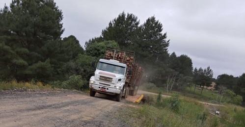 Prefeitura de Mafra recupera mais uma ponte no interior