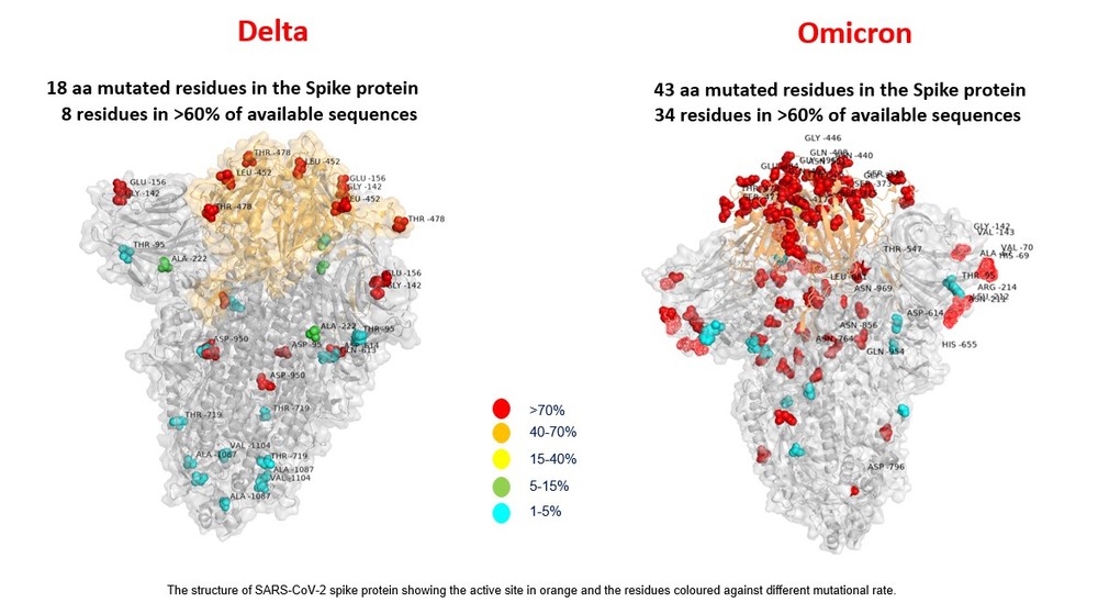 Primeira imagem da variante ômicron revela mais que o dobro de mutações que a delta