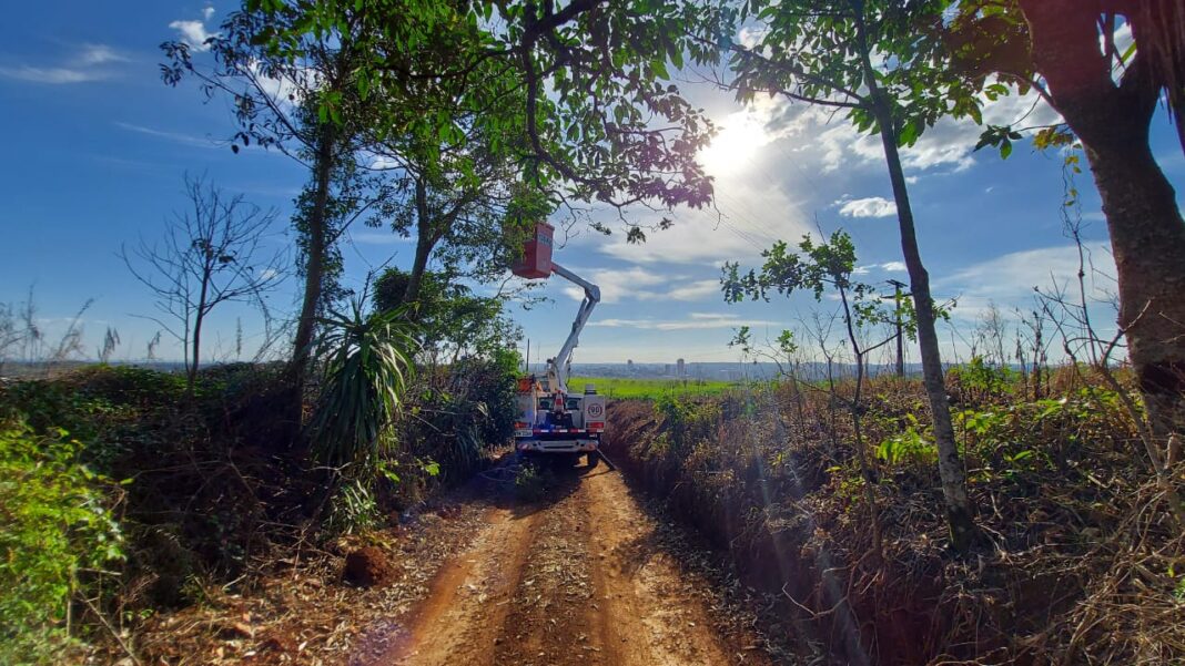 Celesc reforça alerta para perigos e danos da vegetação na rede elétrica