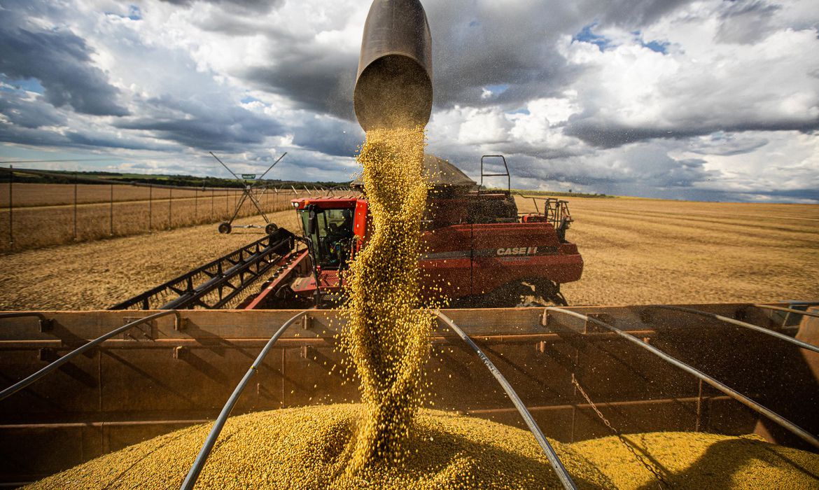 Economia Produção agrícola deve chegar a 269,3 milhões de toneladas, diz Conab