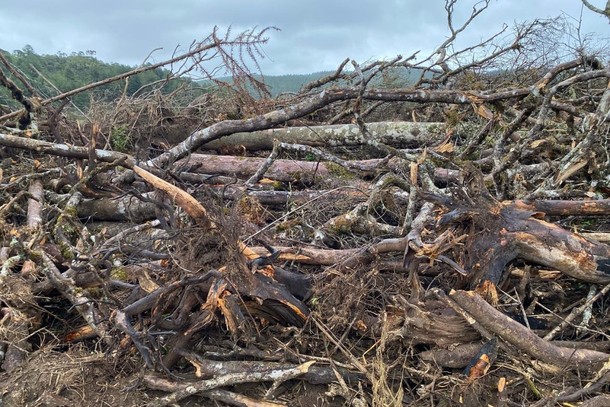 Área de três hectares é desmatada no interior de Canoinhas