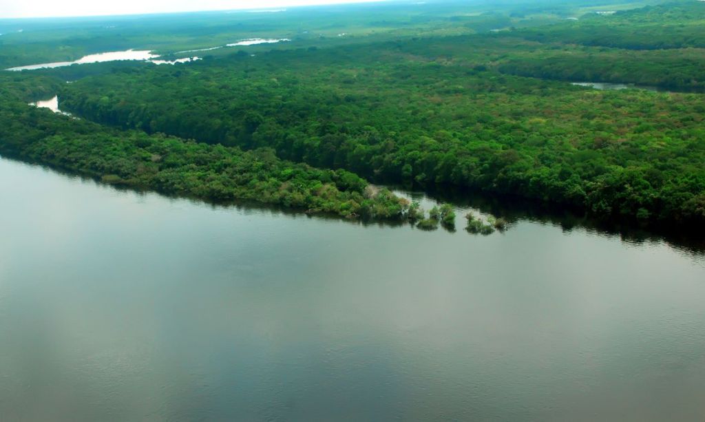 Plano do governo apresenta metas para reduzir desmatamento na Amazônia