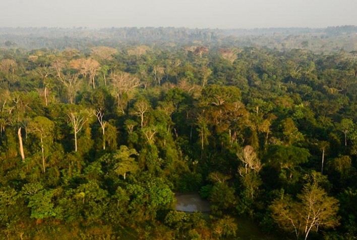 Assistida em larga escala na Amazônia brasileira