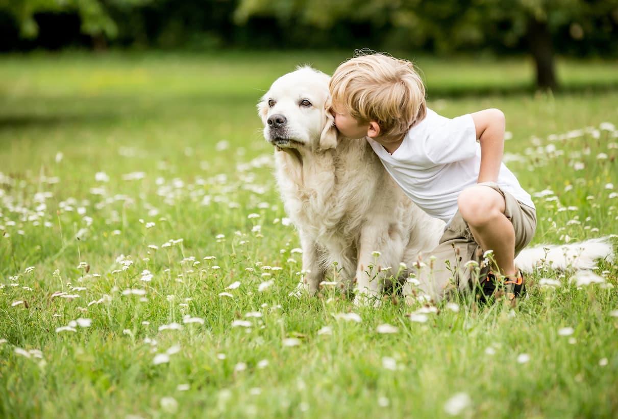 Veja 7 benefícios da convivência de pets e crianças