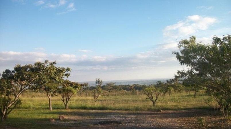 Semana do Meio Ambiente: CEPF e IEB intensificam ações em defesa do Cerrado