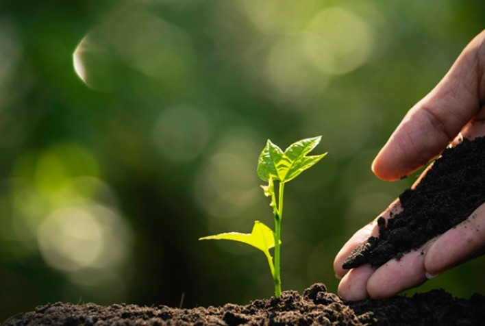 Agricultura e meio ambiente