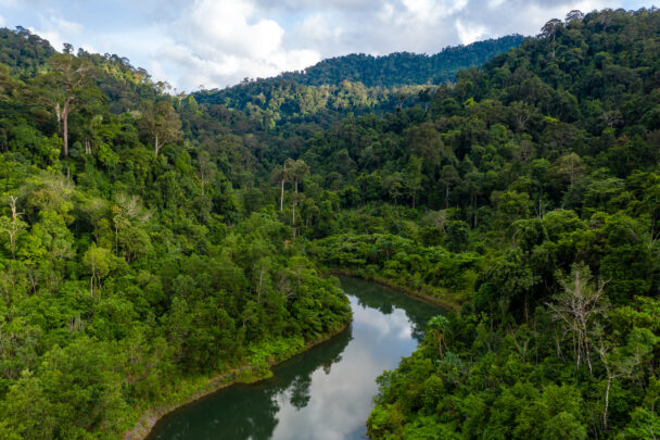 Estudo sobre áreas destinadas à preservação da vegetação nativa