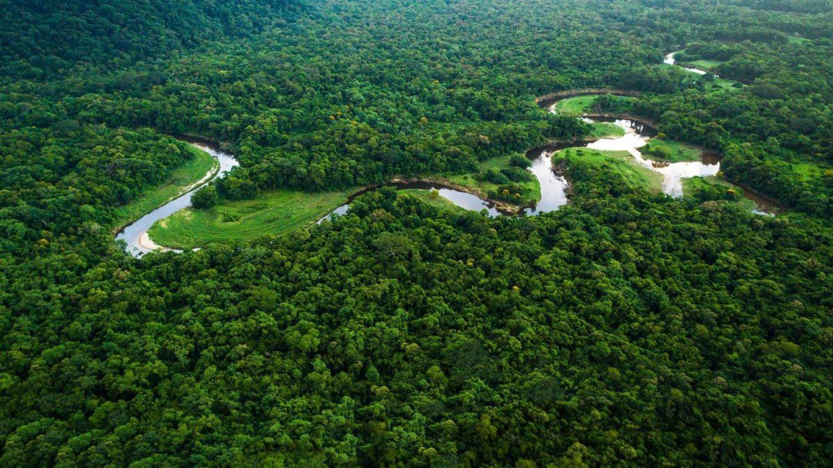 Travas da Amazônia Legal, por Paulo Figueira