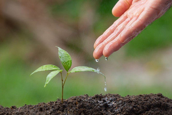 Plano ABC+ reconhece irrigação como atividade sustentável, diz CNA