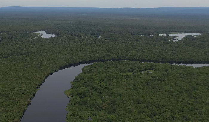 Títulos Florestais na Amazônia geram lucro e preservação ambiental