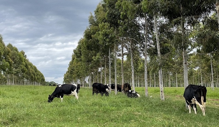 CNA debate ações da agenda ambiental