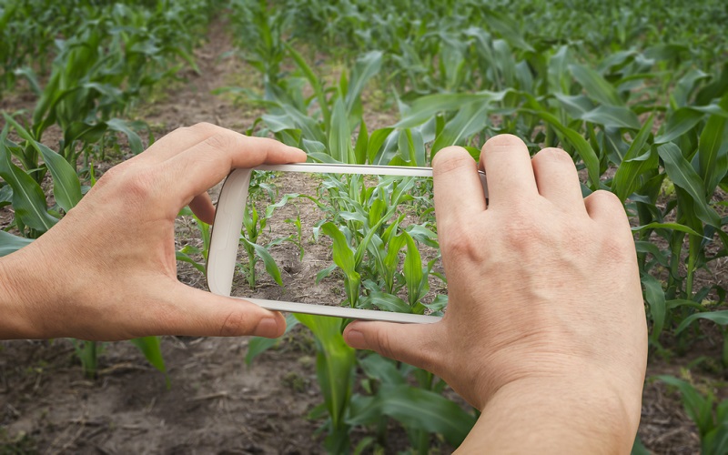 Atual perfil do agricultor brasileiro