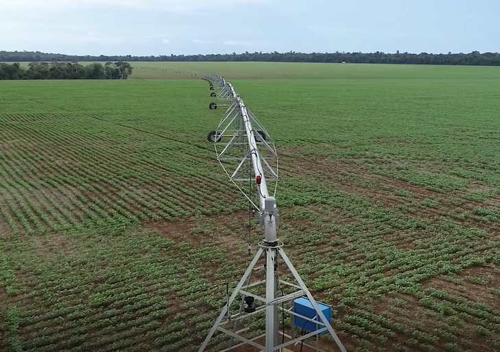 Artigo: Tecnologia na agricultura não é custo, é ganho em produtividade