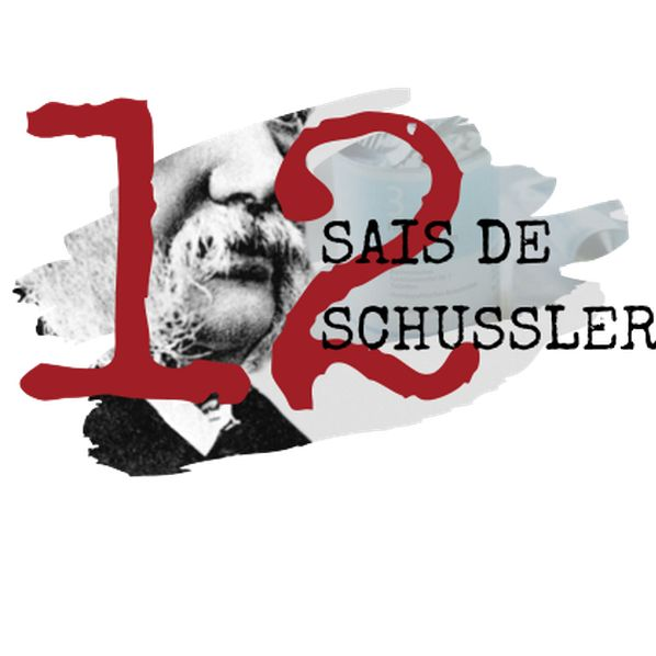 Os 12 Sais de Schüssler