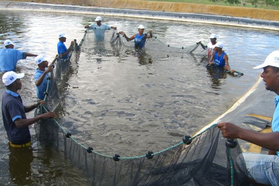 BAHIA - Secretários municipais debatem desafios da pesca e da aquicultura