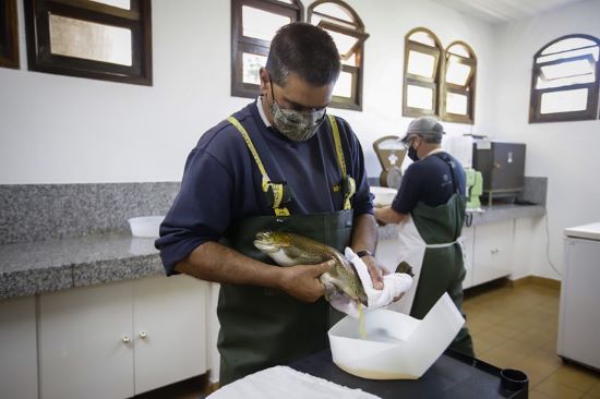 Instituto de Pesca de São Paulo celebra 53 anos