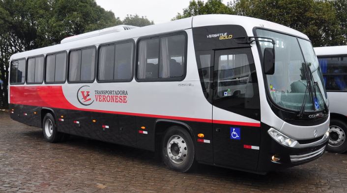 https://veronese.empregare.com/pt-br/vaga-motorista-de-onibus-paranaiguara_15027