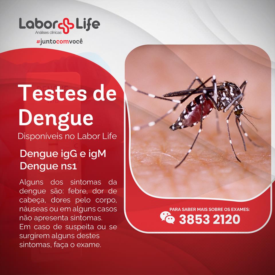 Testes de Dengue