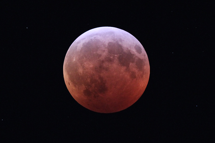 Ensine seus filhos sobre o eclipse lunar da Super Lua de Sangue das Flores