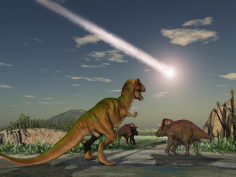 Como os crocodilos sobreviveram ao asteroide que matou os dinossauros?