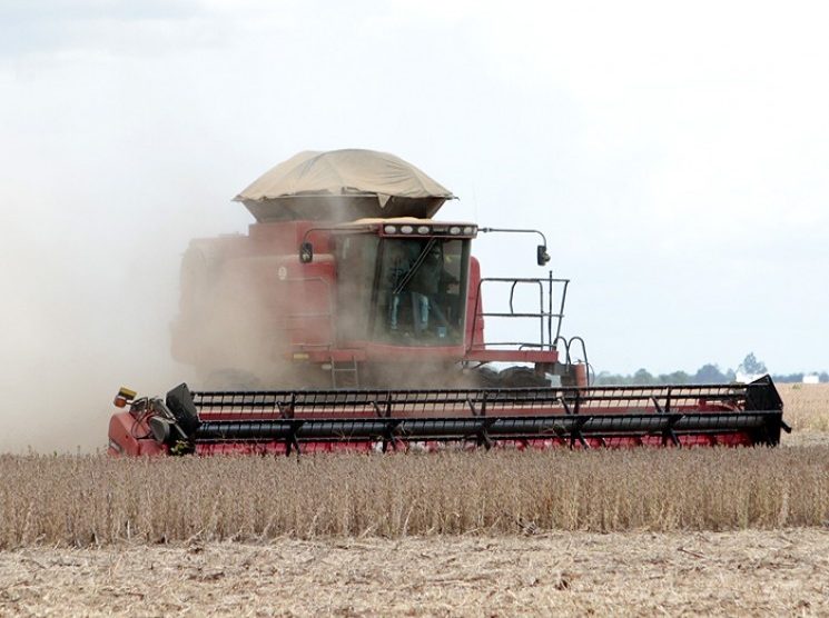 Sinop segue no ranking das melhores cidades do Brasil para investir na agropecuária