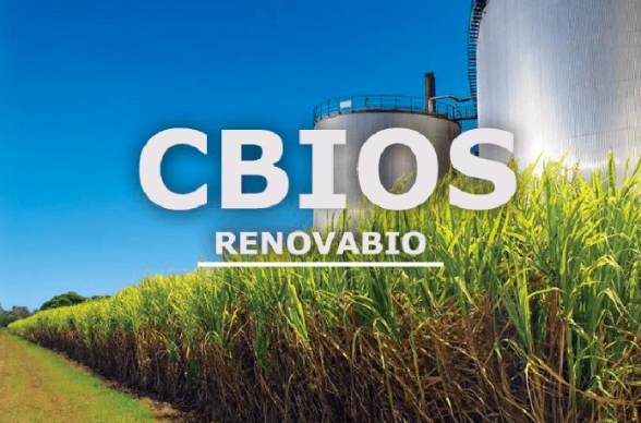 Relatório de Comissão da Câmara inclui produtor rural com direito a 80% de repasse do CBIO