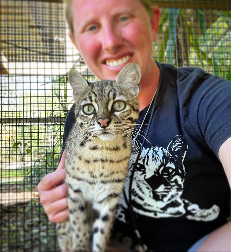 Environmental education and captive cats