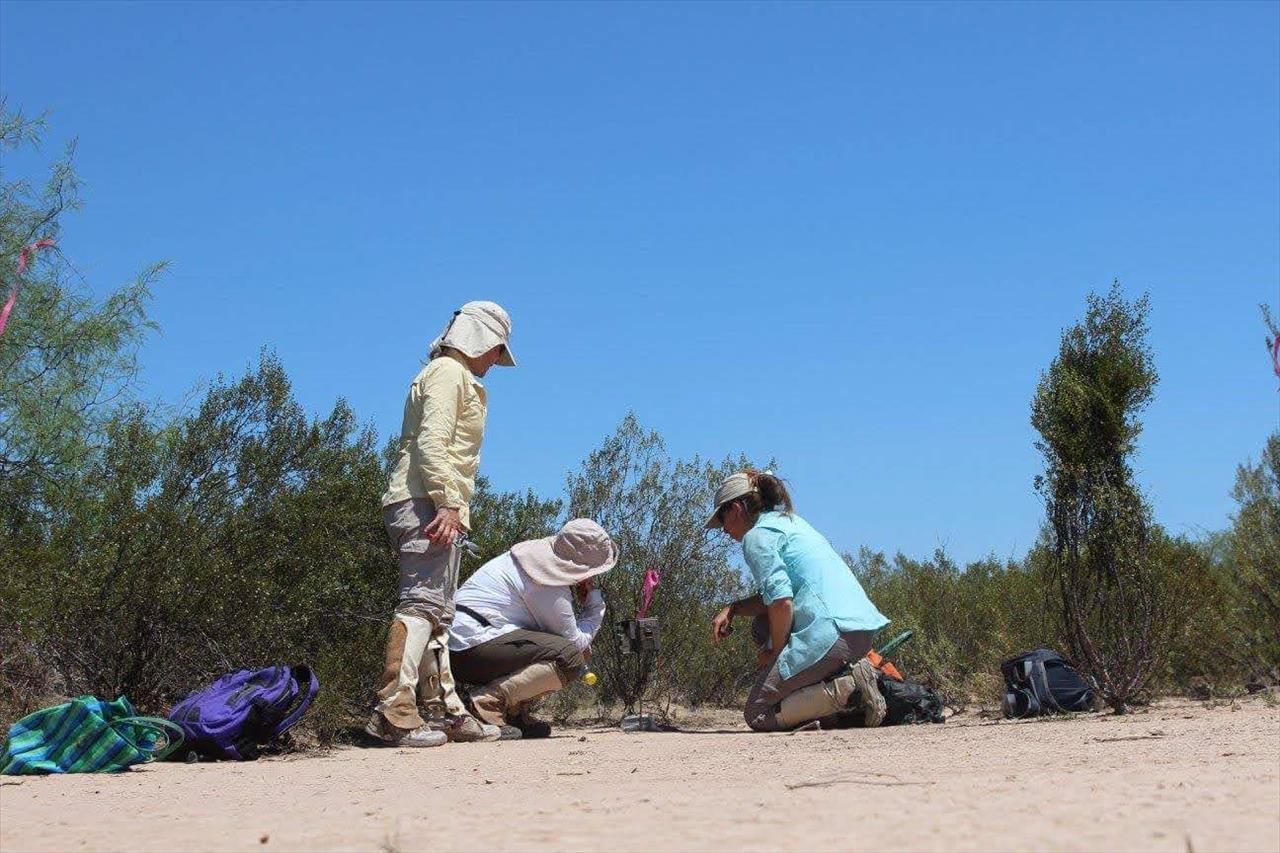 Balanceando recreación y conservación en las áreas protegidas: el impacto de las actividades humanas en las poblaciones de carnívoros