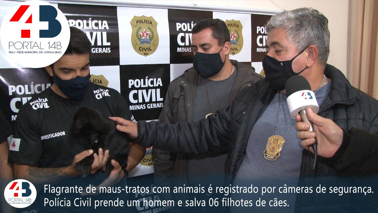 Polícia Civil resgata filhotes de cães abandonados; suspeito é preso