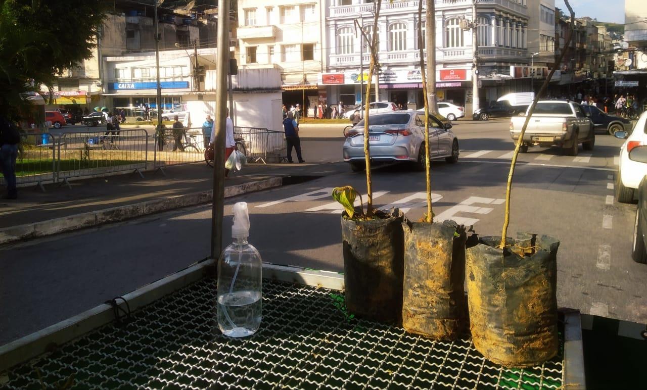 Divisão do Meio Ambiente faz doação de mudas no centro de Santos Dumont