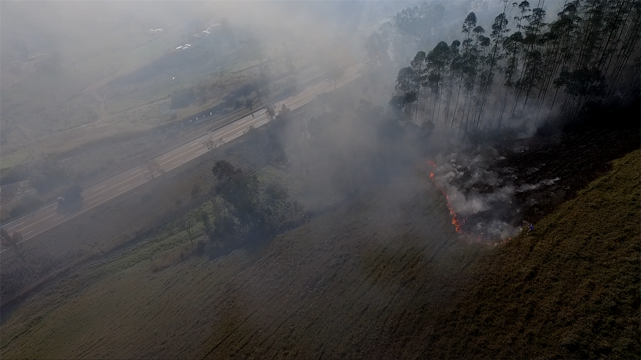 BR 040: Incêndios criminosos nas margens de rodovias causam risco de acidentes