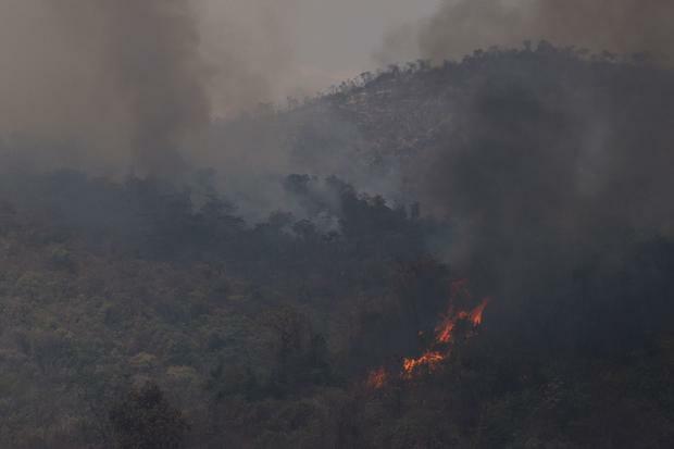 Minas arde em chamas: Estado registra mais de 19 mil ocorrências de incêndio