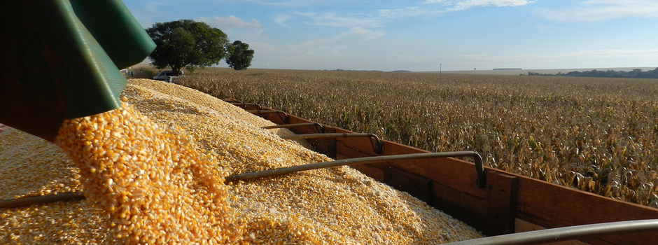 Minas Gerais deve bater recorde histórico nas exportações do agronegócio em 2021