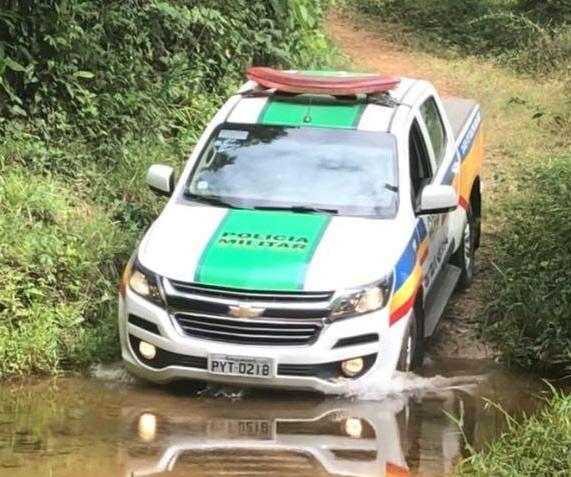 Homem é preso e multado em Ewbank da Câmara por crimes ambientais