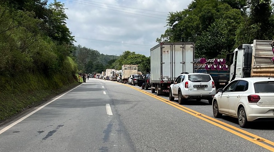 Retirada de árvore causa congestionamento na BR-040