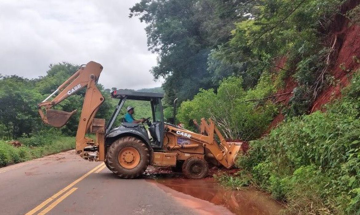 Chuvas provocam perdas de 119 mil hectares de lavouras de Minas Gerais