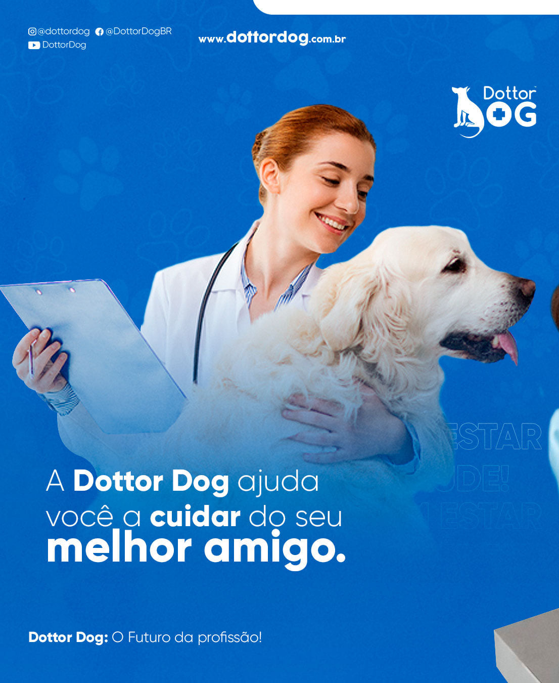 A Dottor Dog ajuda você a cuidar do seu melhor amigo