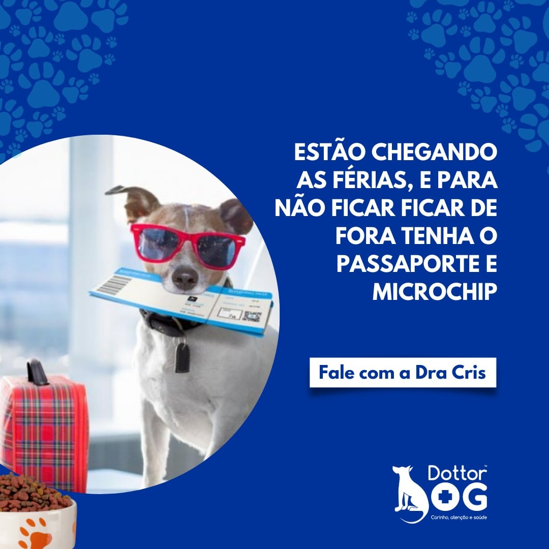 As férias estão chegando e seu pet não quer ficar de fora dessa !