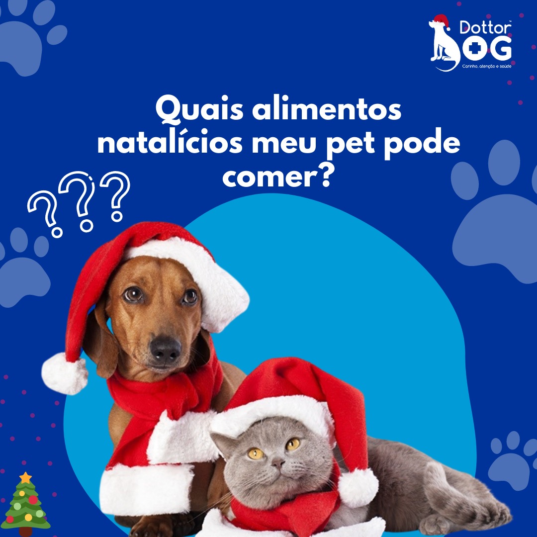 Quais alimentos meu pet pode comer na ceia de Natal?