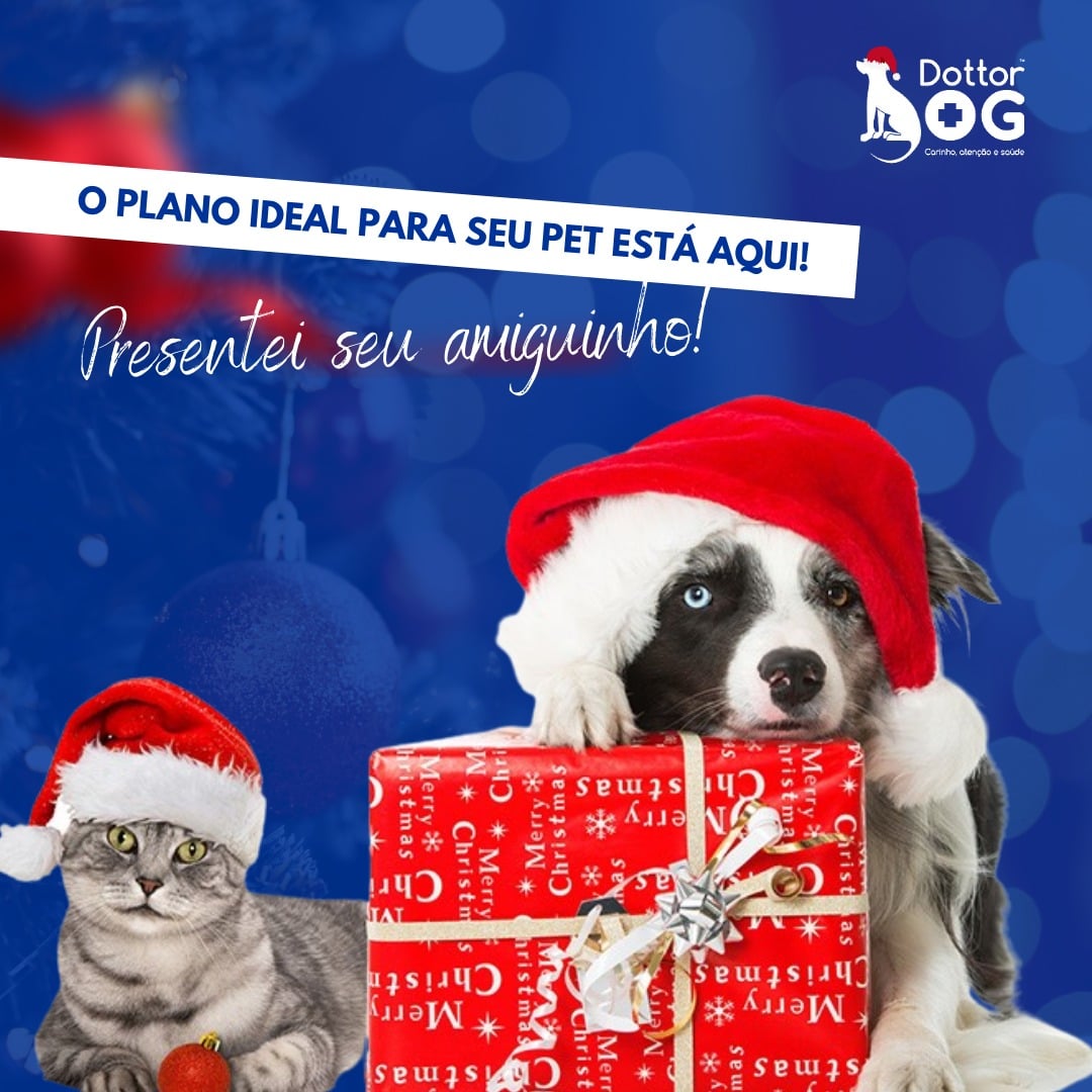 Neste Natal Presenteie quem você ama!