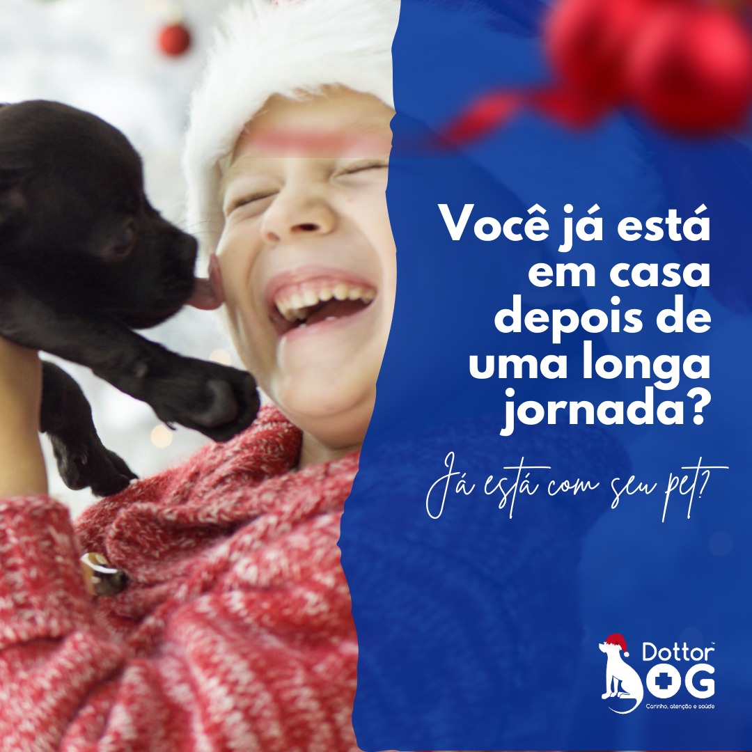 Você já está em casa com seu pet?