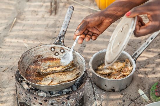 Vinculando alimentos aquáticos com alimentação e nutrição na política